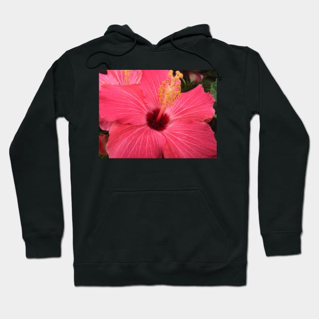 Atlanta, GA.  -- Spring Blooms I  ! Hoodie by zwrr16